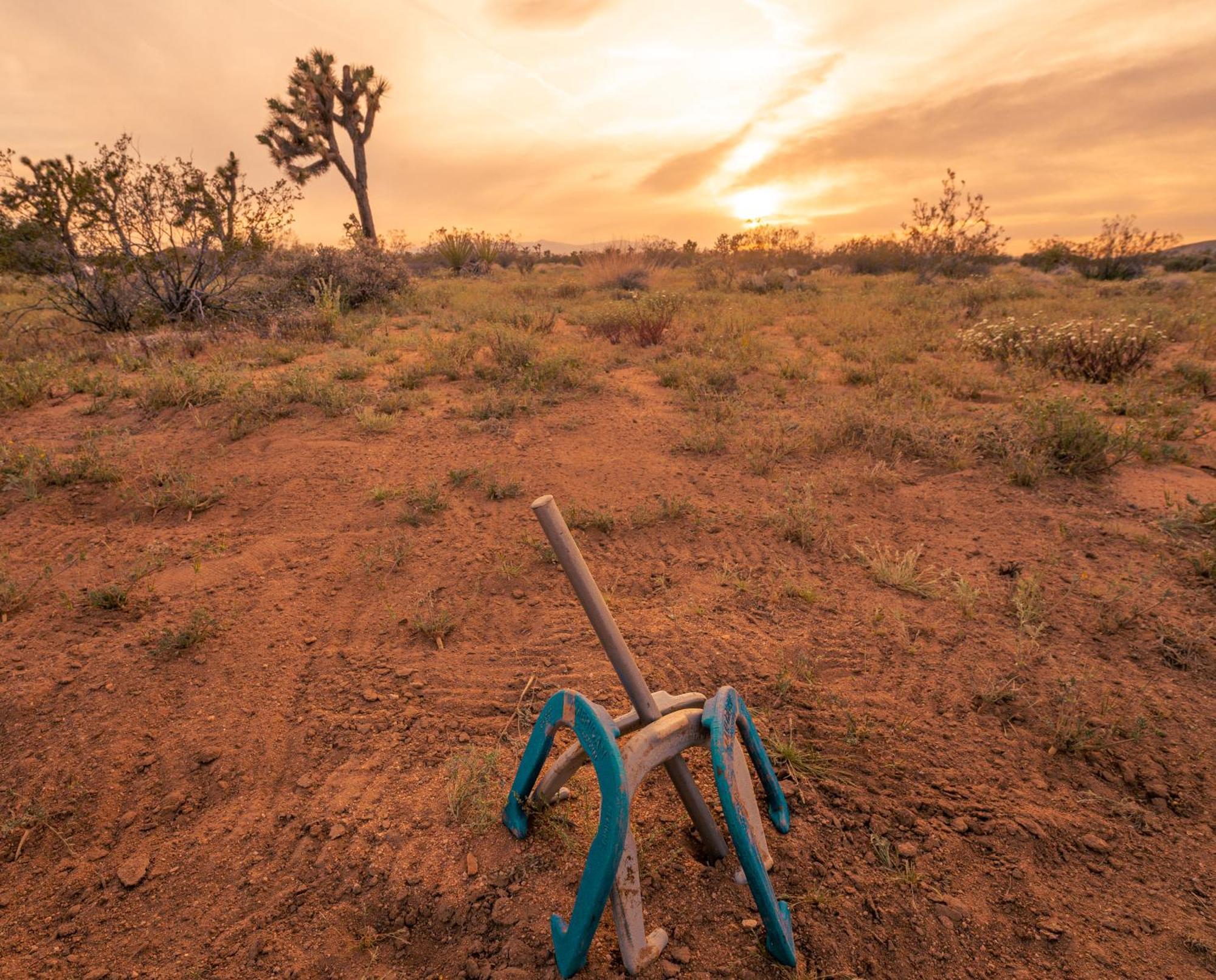 Villa Coyote Tracks - A Modern Desert Experience à Joshua Tree Extérieur photo